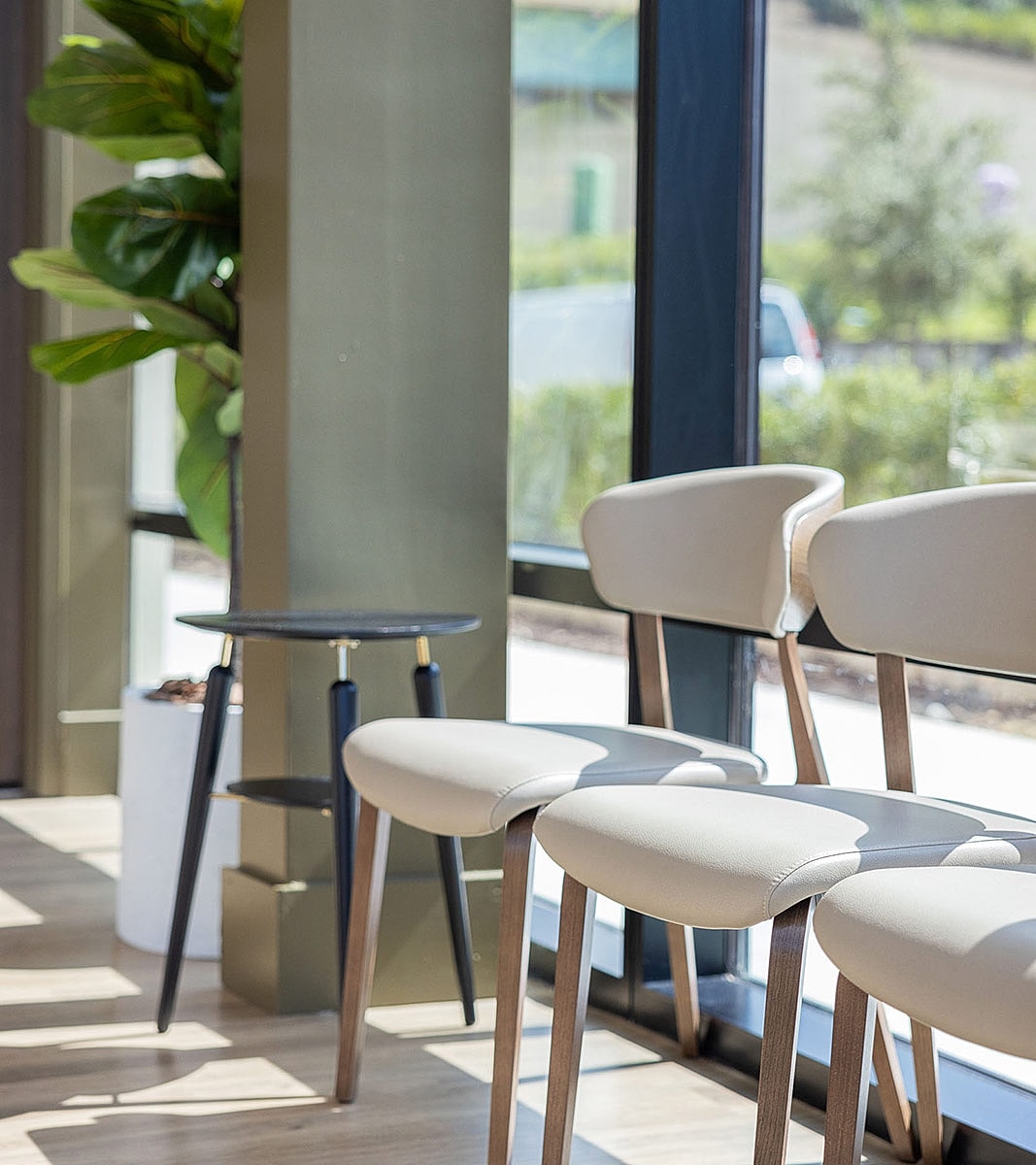 Modern seating with table and greenery indoors.