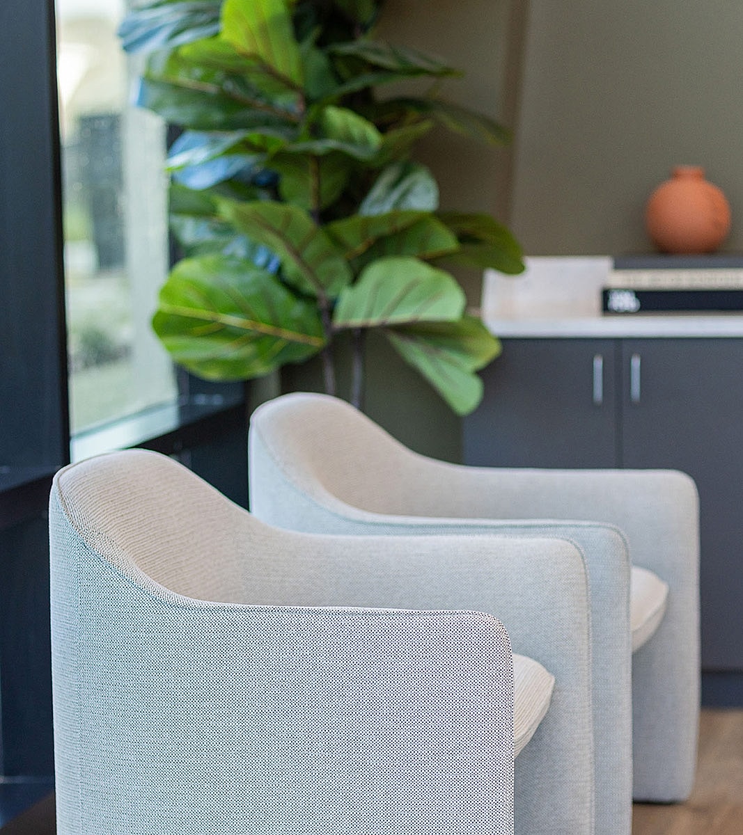 Modern chairs next to a large indoor plant